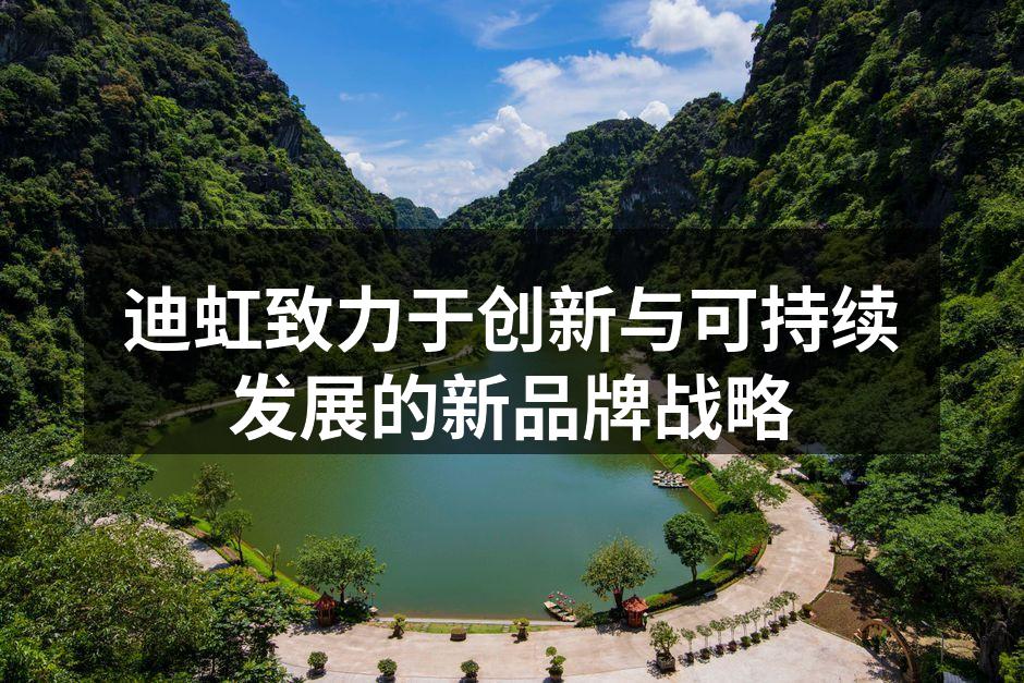 迪虹新款环保箱包系列