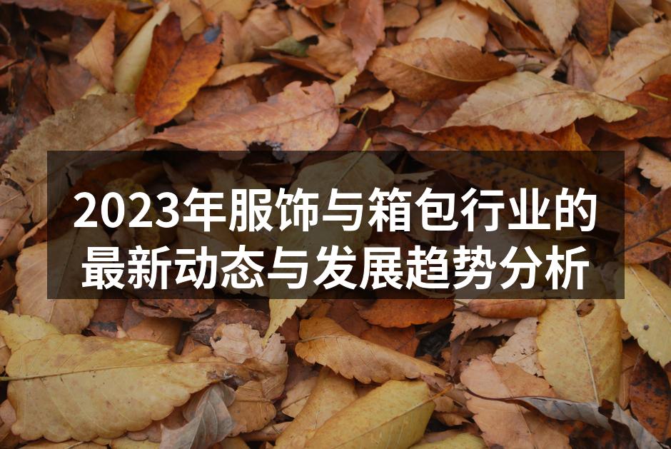 2023年服饰与箱包行业的最新动态与发展